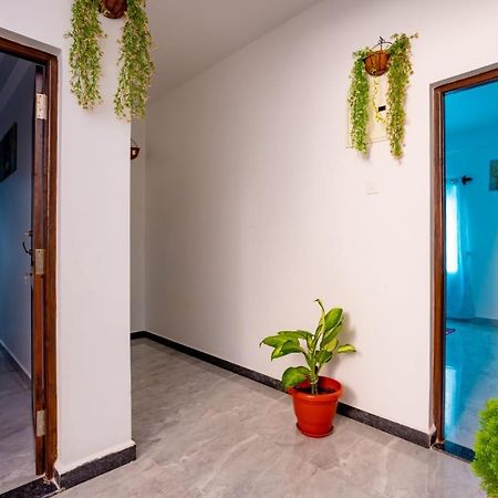 Goan Fiesta Studio Calangute Goa Villa Exterior foto